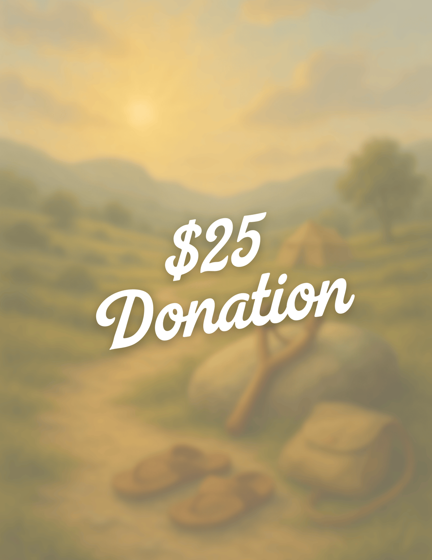 $25 Donation